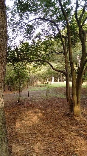 IMG_20170528_091750341