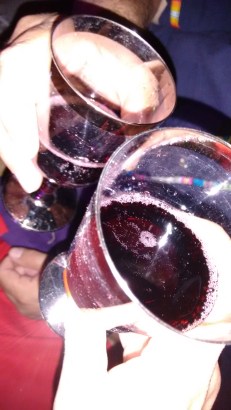 picnic nocturno junio 2017 (33)