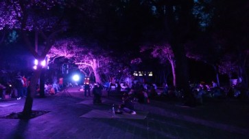 picnic nocturno junio 2017 (7)