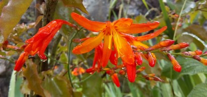 IMG_20170913_222407_127