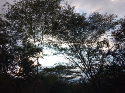 carretera a Xilitla 1