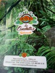 las conchitas xilitla