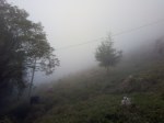 neblina1