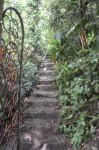 Xilitla dic 2017 (182)&nbsp;(533×800)
