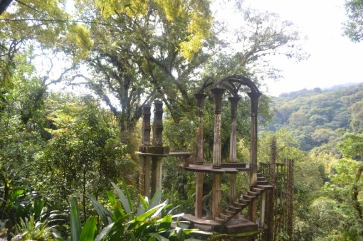 Xilitla dic 2017 (185) (800x533)