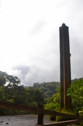 Xilitla dic 2017 (192) (533x800)