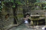 Xilitla dic 2017 (232)&nbsp;(800×533)