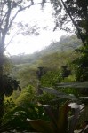 Xilitla dic 2017 (237)&nbsp;(533×800)
