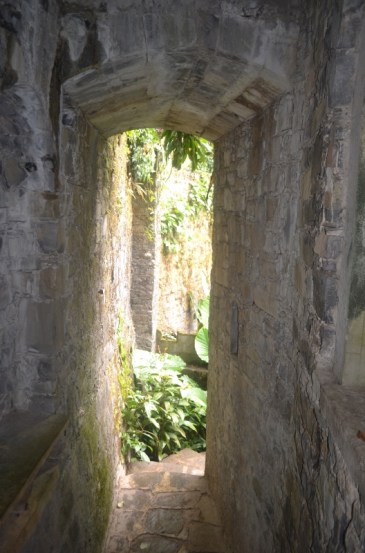 Xilitla dic 2017 (42) (533x800)