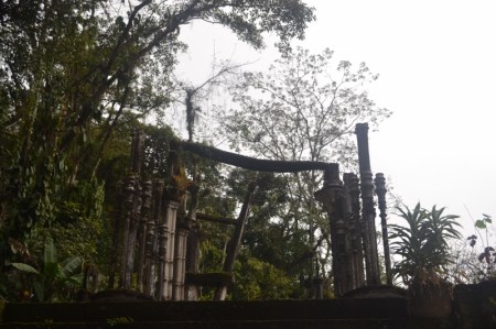Xilitla dic 2017 (63) (800x533)