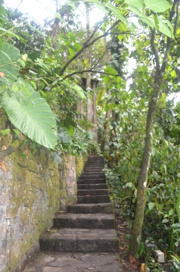 Xilitla dic 2017 (85) (533x800)