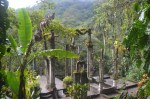 Xilitla dic 2017 (86)&nbsp;(800×533)