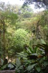 Xilitla dic 2017 (89)&nbsp;(533×800)